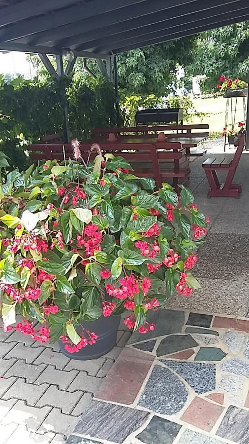 Apartma Mbm Apartment Krizevci pri Ljutomeru Luaran gambar